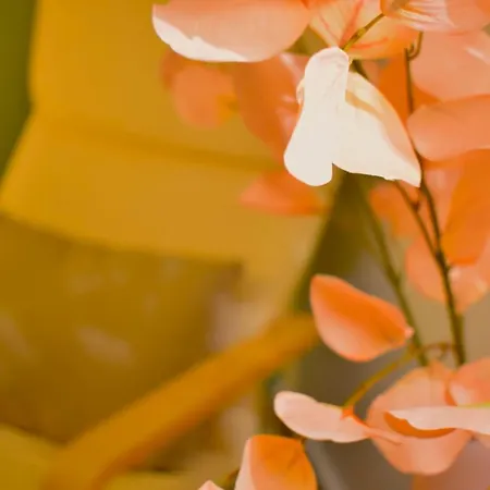 Carmen Art فندق *