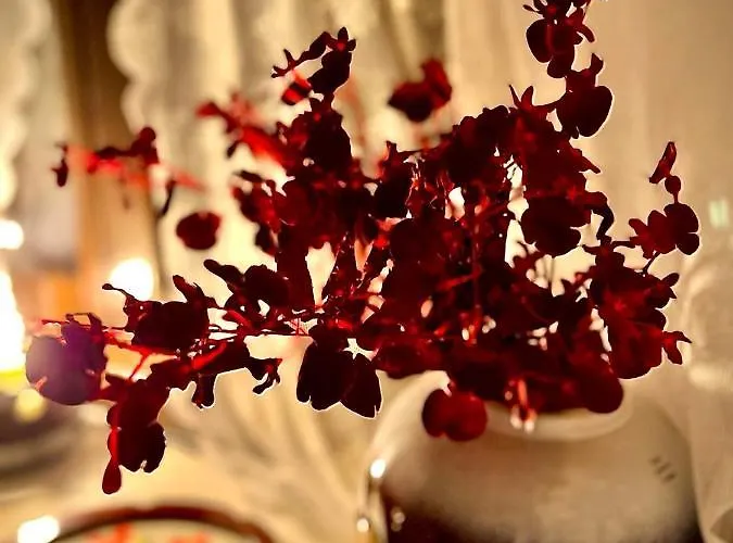 Carmen Art Rhodes City