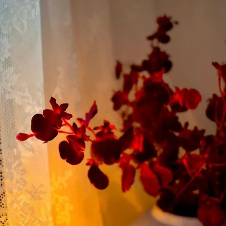 Carmen Art Hotel Rhodes City